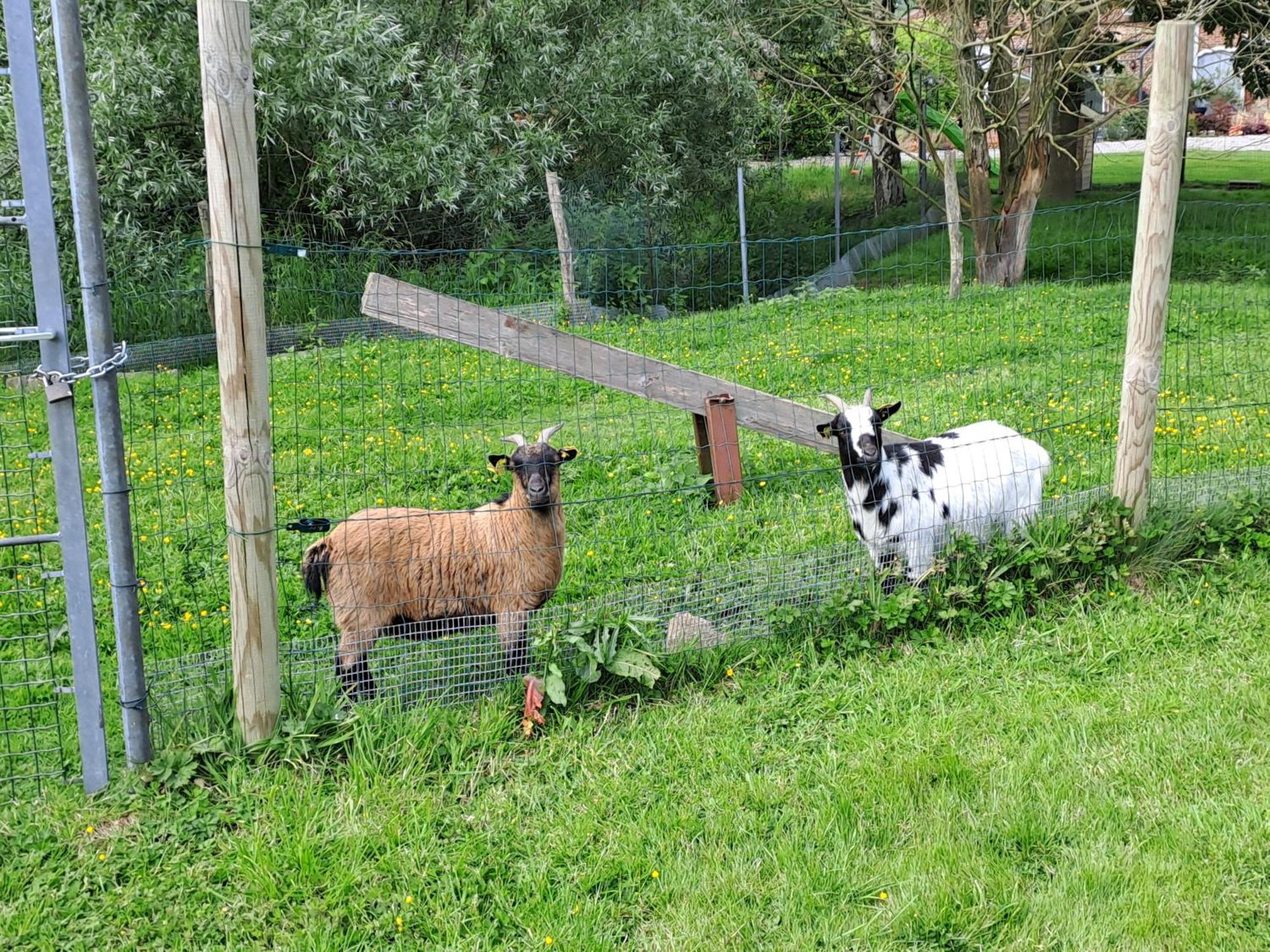 Monts De Flandre Insolite Berthen Εξωτερικό φωτογραφία